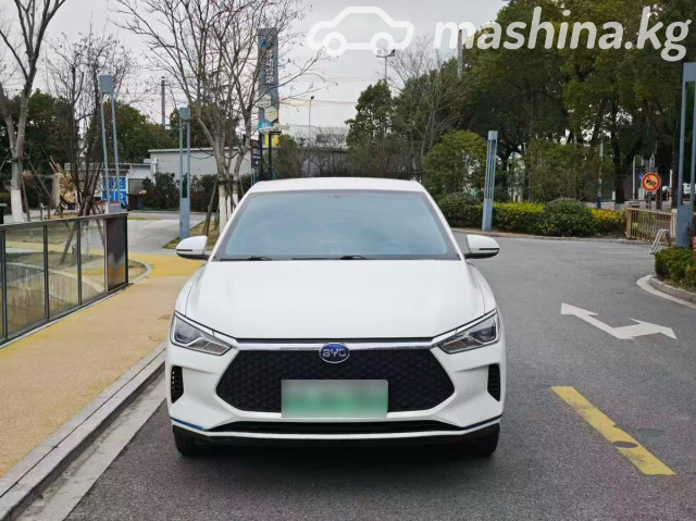 BYD E2