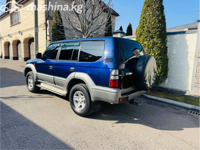 Фото 4