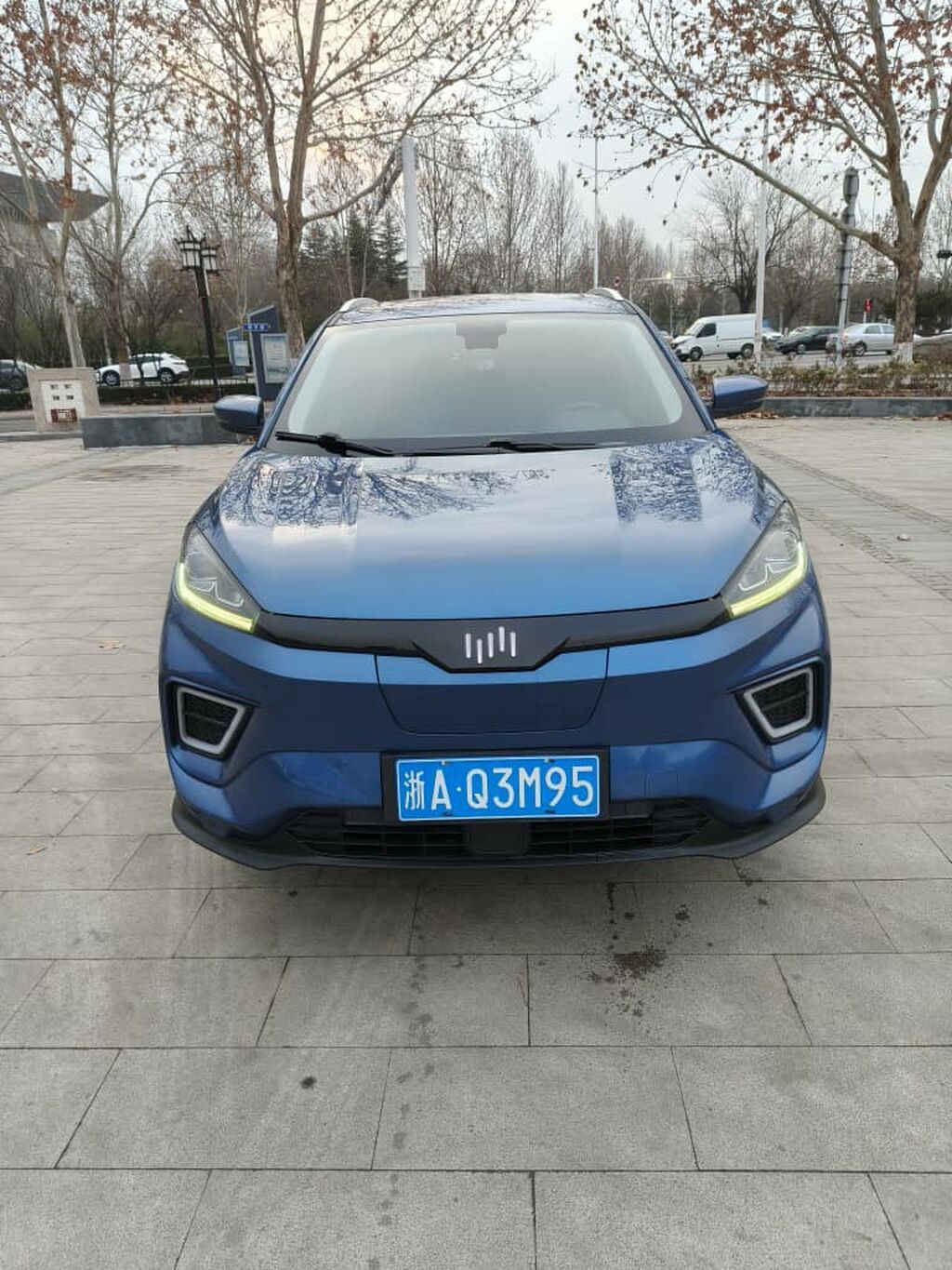 Weltmeister 2021 г., 126000 км, Передний, В наличии