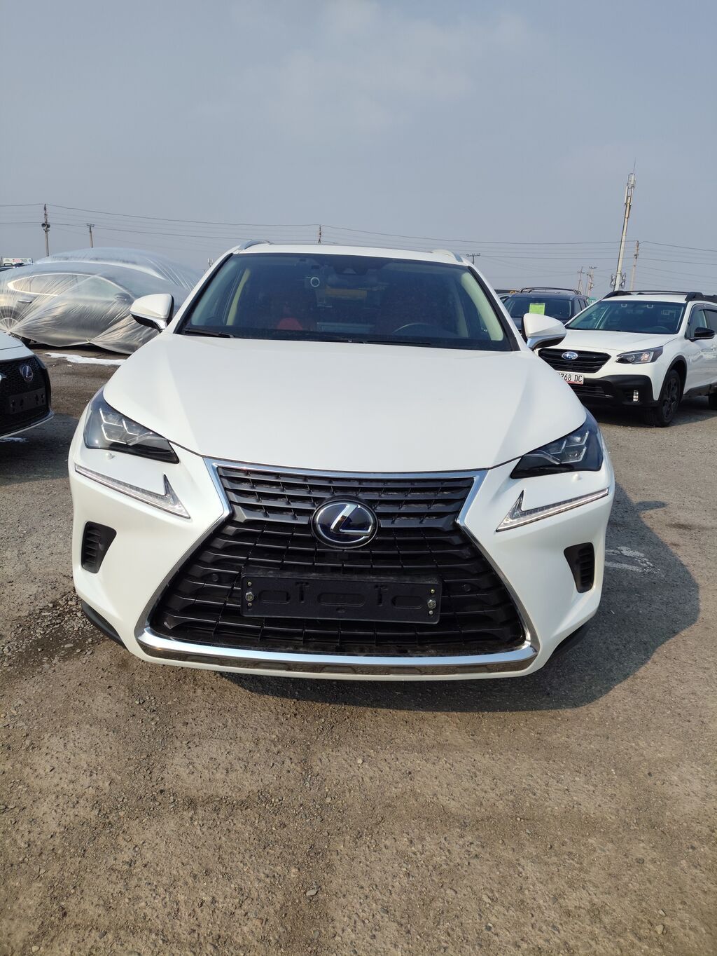 Lexus NX