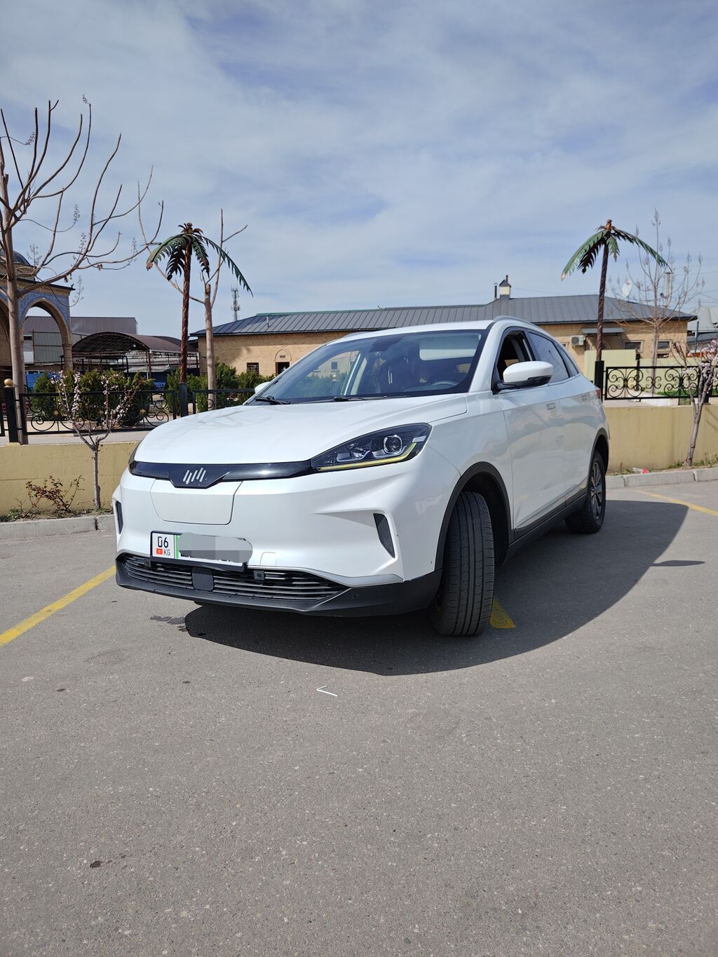 Weltmeister EX5, 2019 г., 80000 км, Передний, В наличии