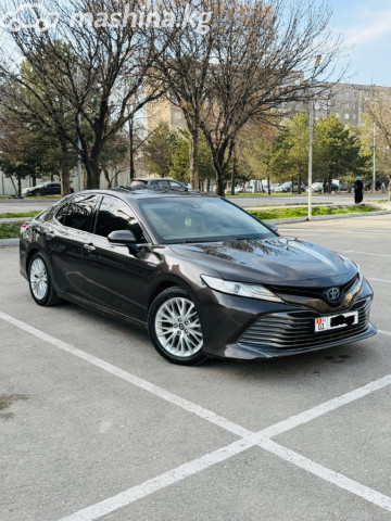 Toyota Camry (Japan)