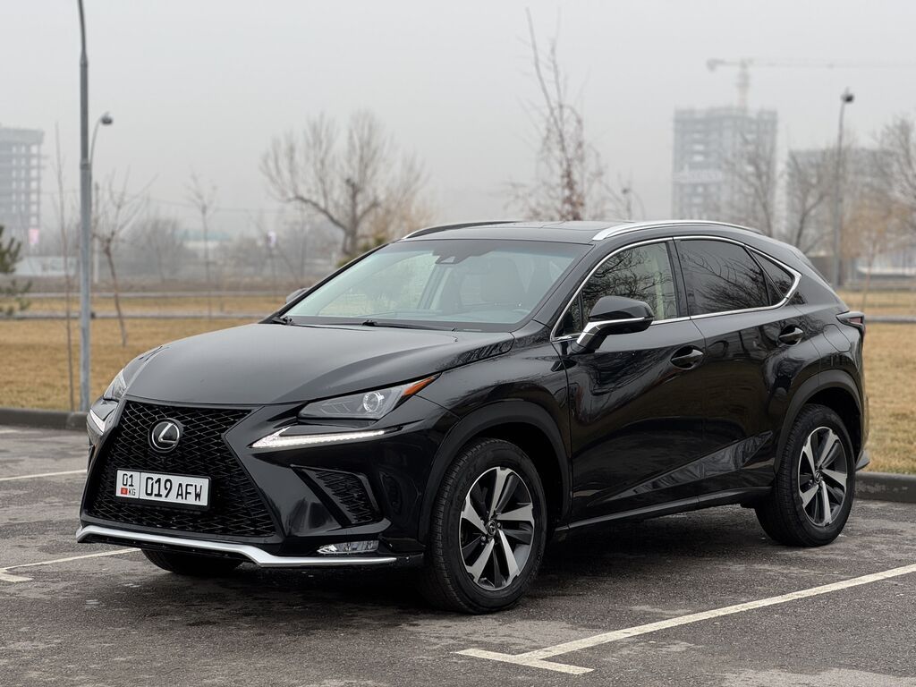 Lexus NX