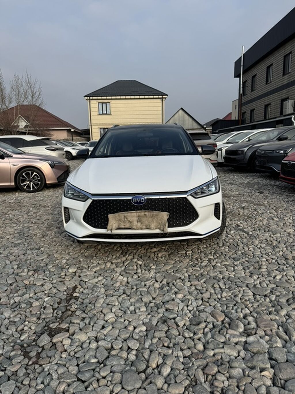BYD E2