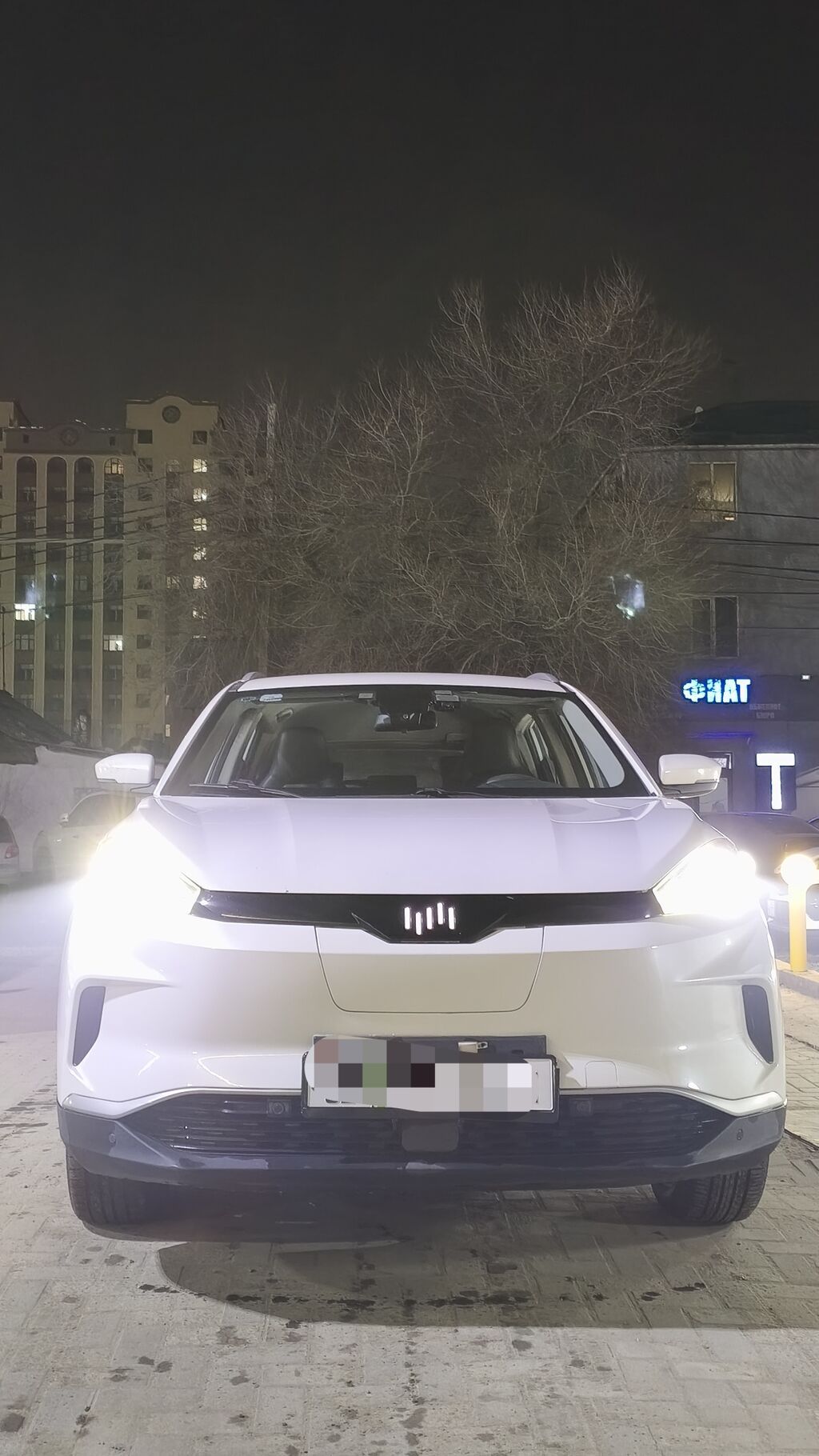 Weltmeister EX5, 2020 г., 1 км, Передний, В наличии