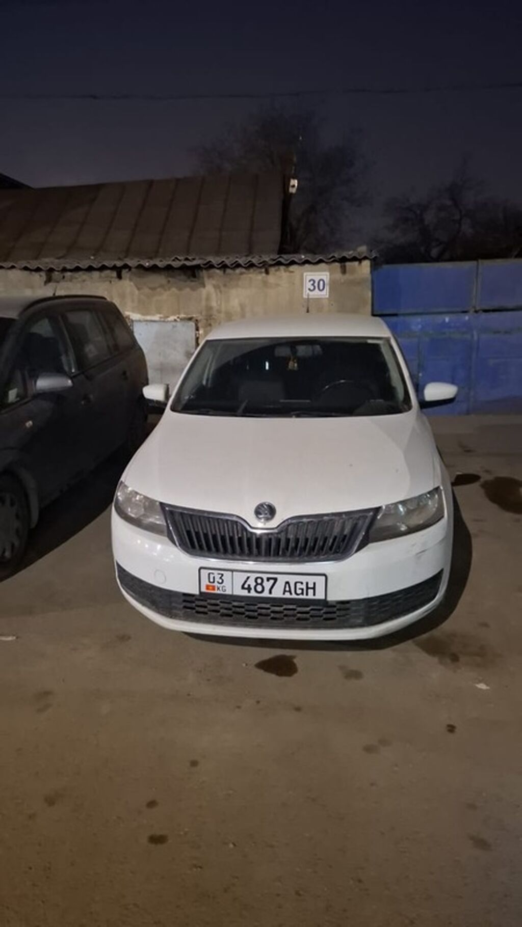 Skoda Rapid