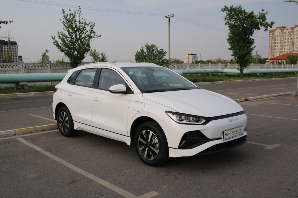 BYD E2