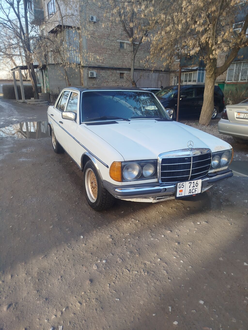 Mercedes-Benz W123