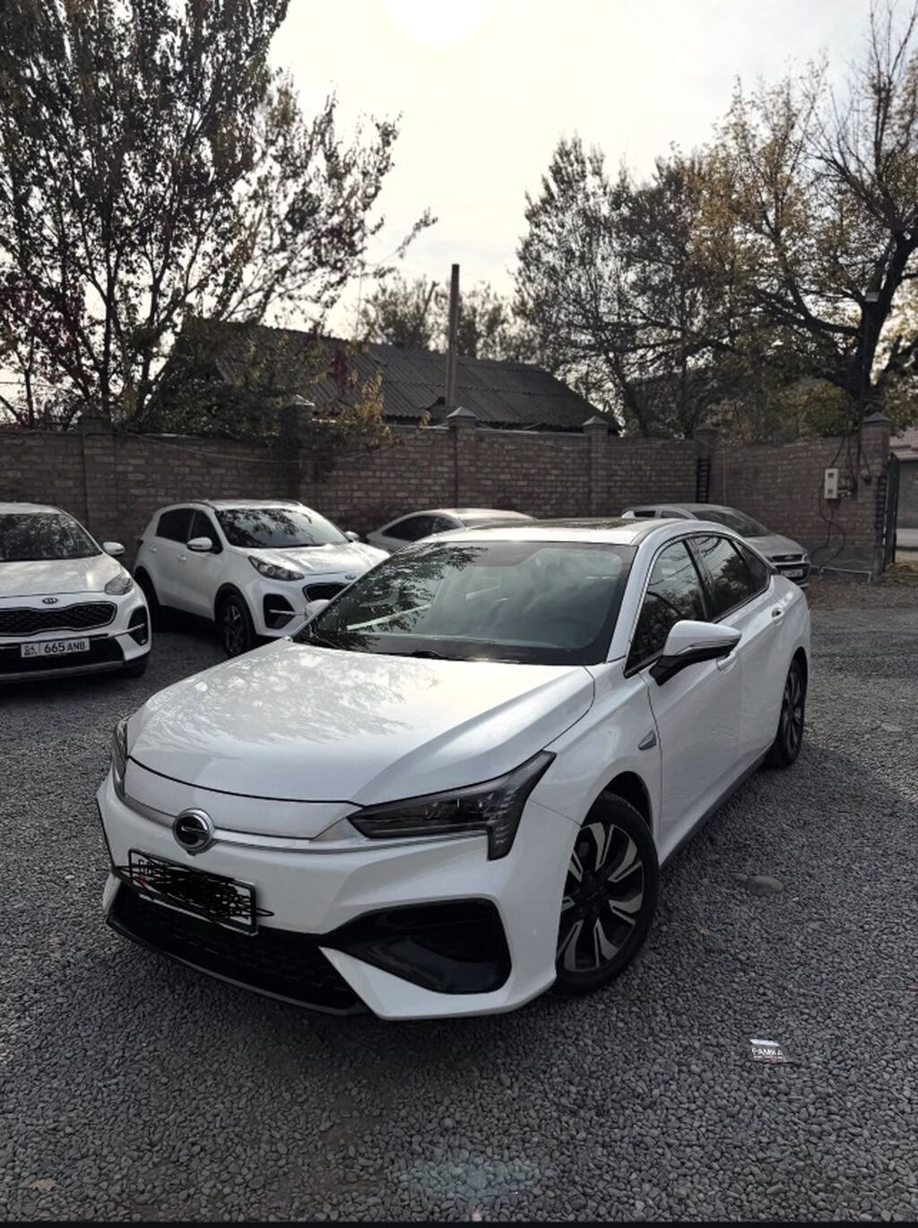 Сдаю авто в аренду 🚗 Цена