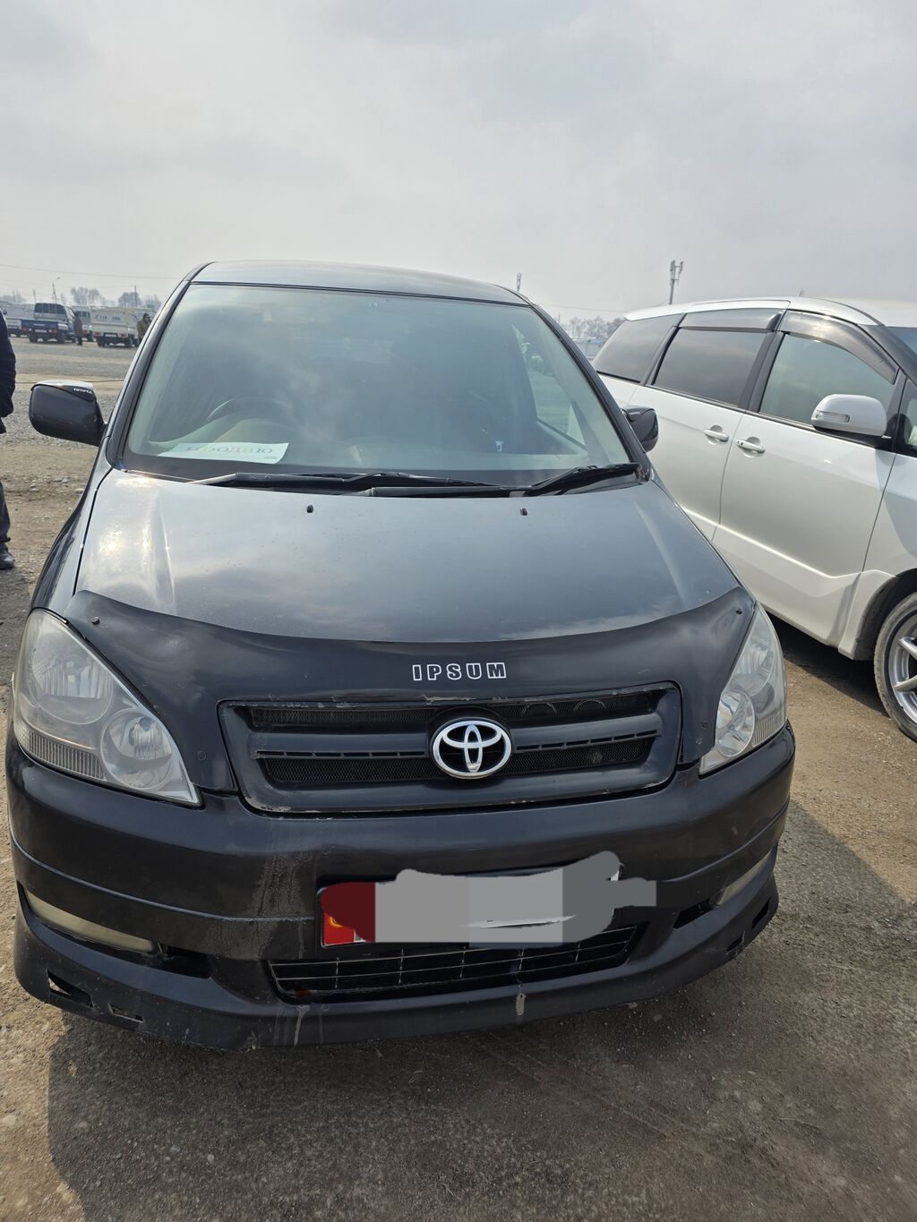 Toyota Ipsum
