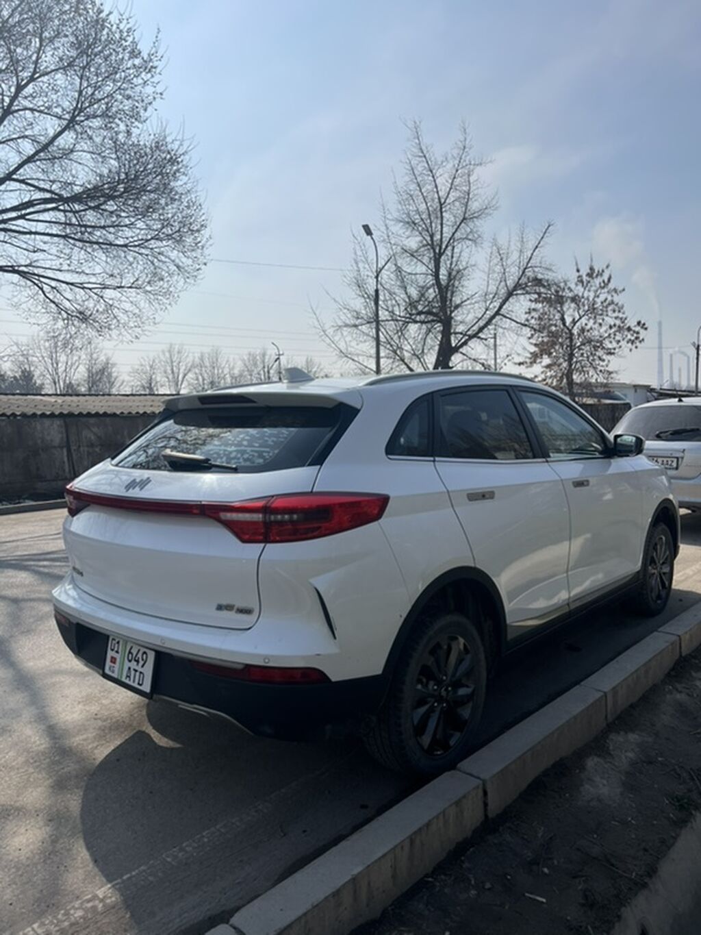 Weltmeister EX5, 2020 г.