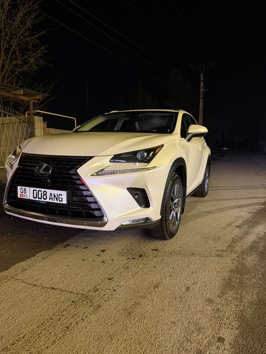 Lexus NX