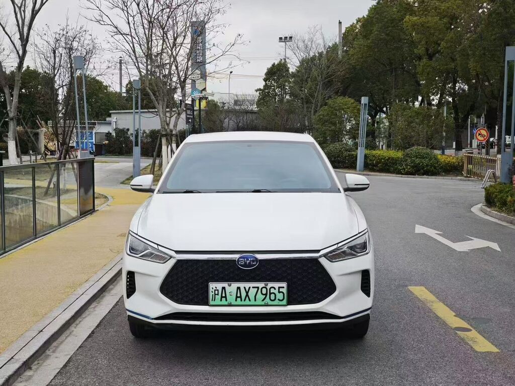 BYD E2