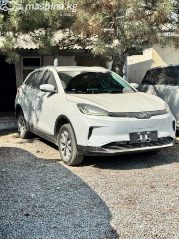 Weltmeister EX5