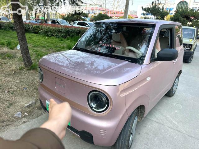Geely Panda