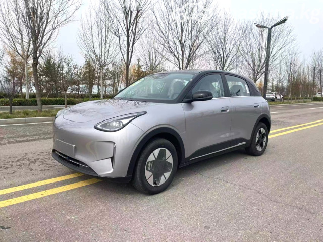 Geely Geome Xingyuan
