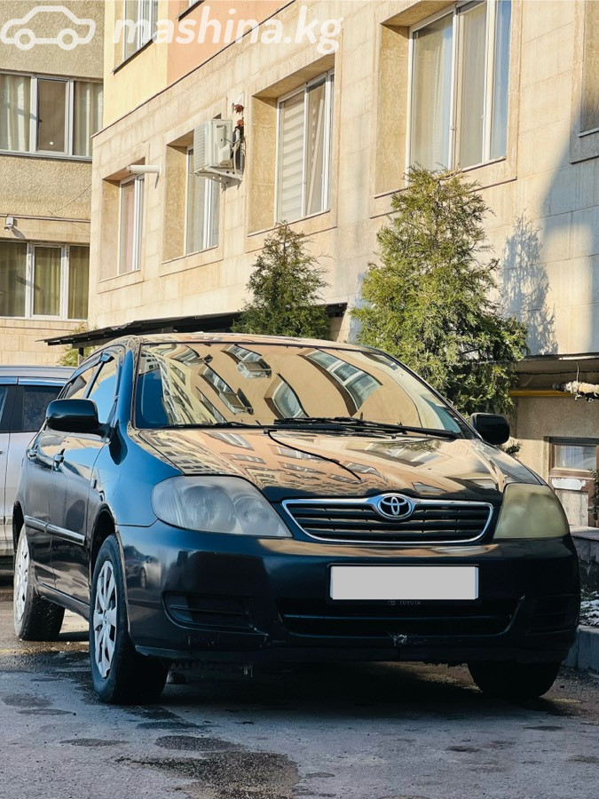 Слайд #11