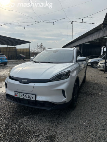 Weltmeister EX5
