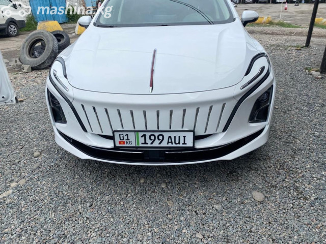 Hongqi E-QM5