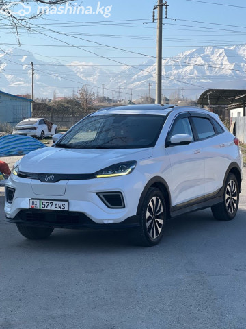 Weltmeister EX5
