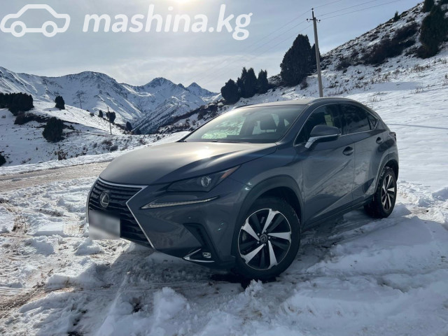 Lexus NX