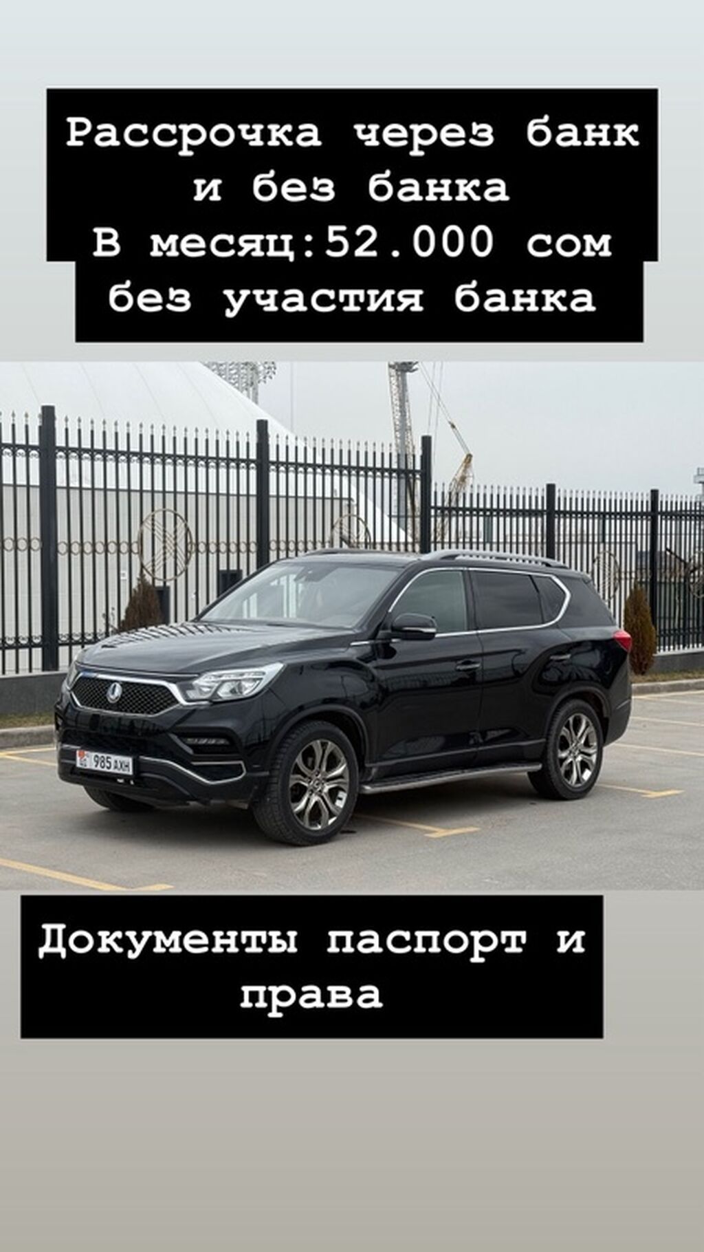 Ssang Yong Rexton G4 Цвет
