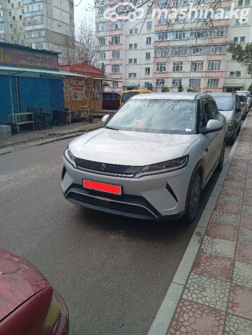 BYD Yuan Up
