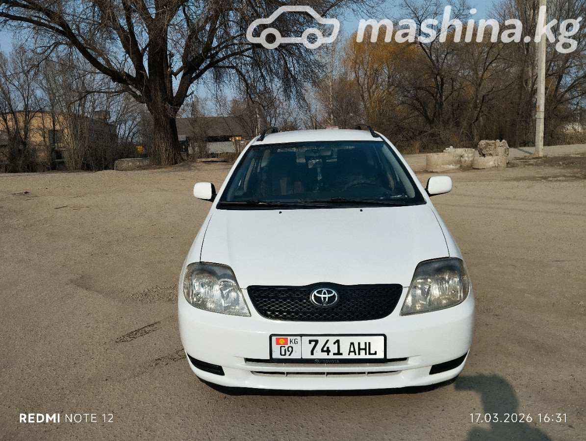Слайд #19