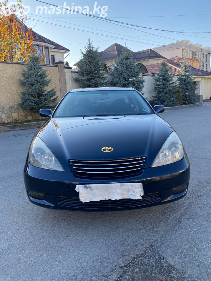 Слайд #8