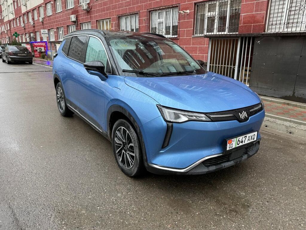 Weltmeister W6, 2021 г., 77 км