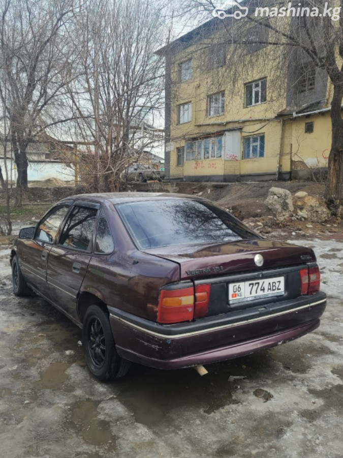 Слайд #11