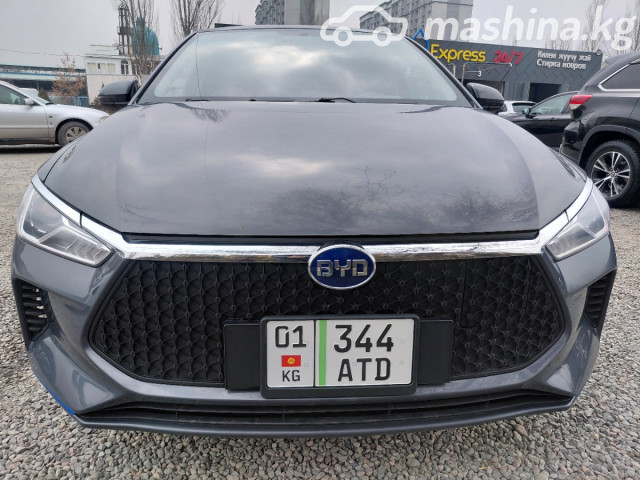 BYD E2