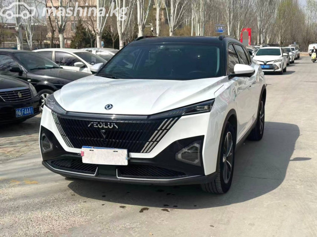 Dongfeng Aeolus Haohan
