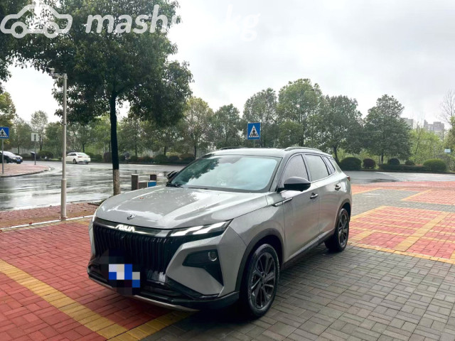 Dongfeng Aeolus Haoji