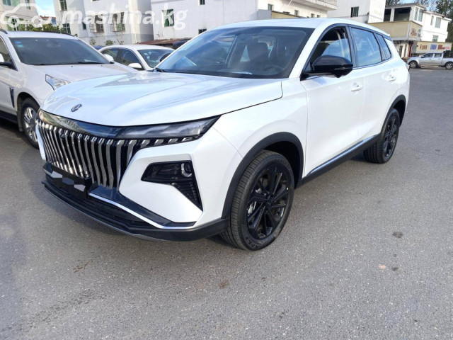 Dongfeng Aeolus Haoji