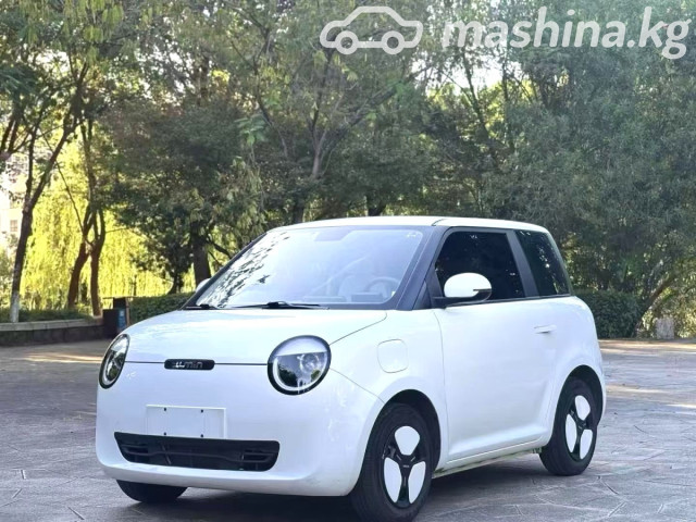 Changan Lumin