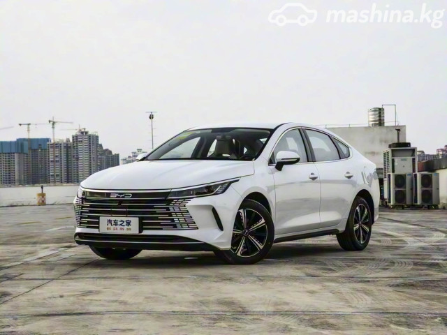 BYD Destroyer 05