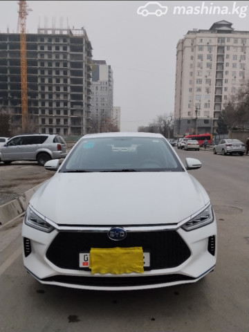 BYD E2