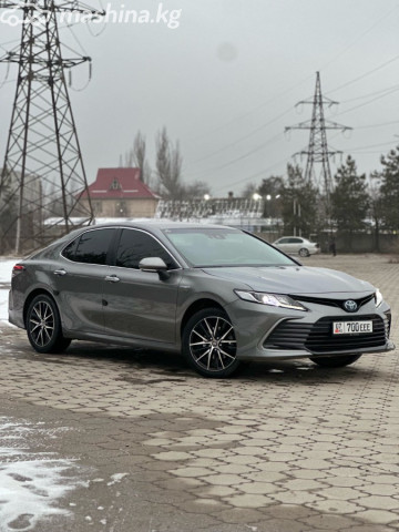 Toyota Camry (Japan)