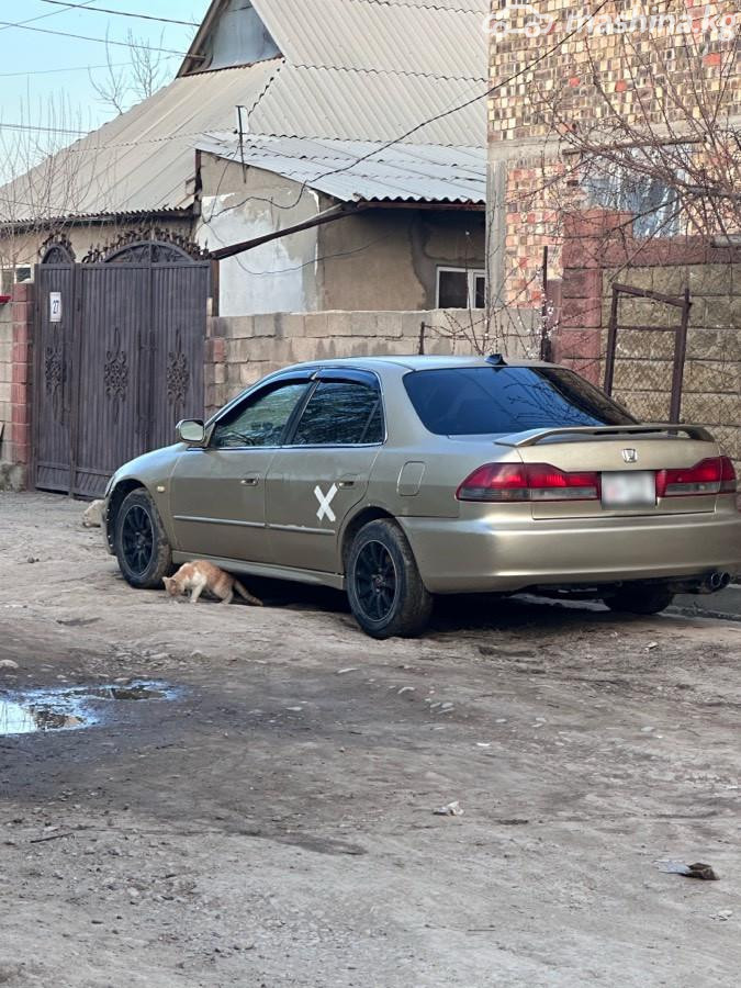 Слайд #12