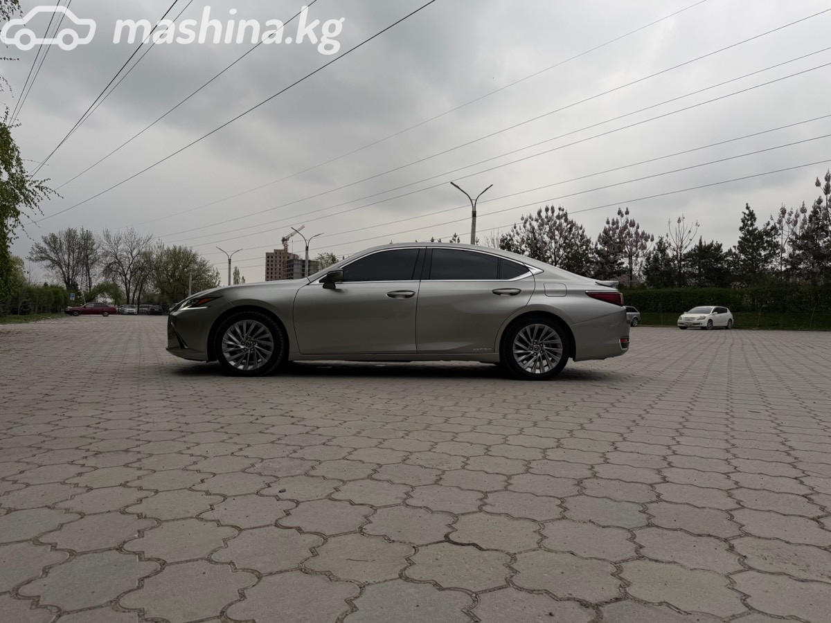 Слайд #17