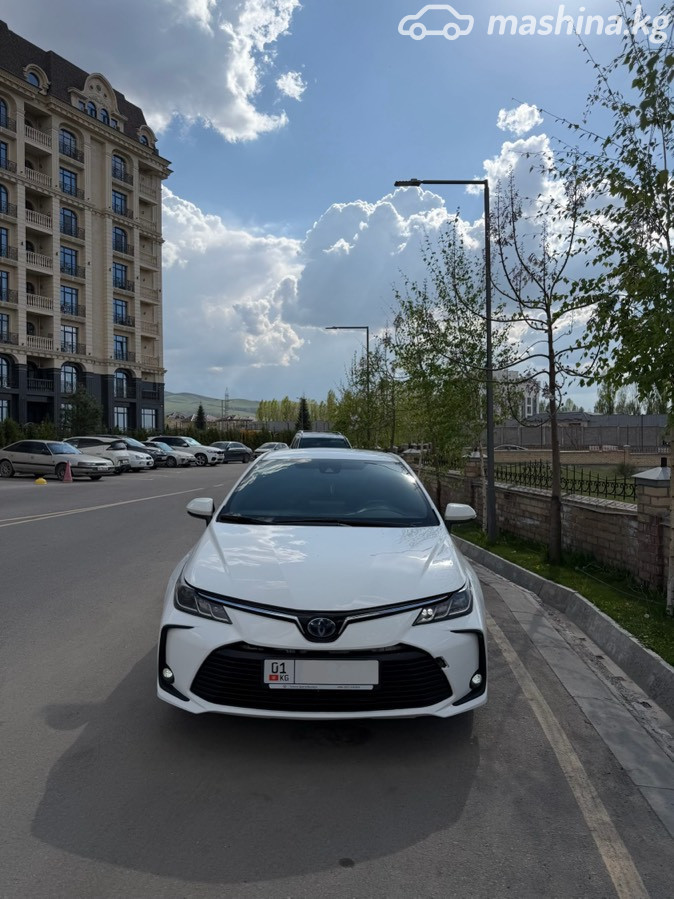 Слайд #9
