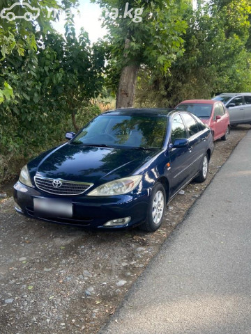 Toyota Camry (Japan)
