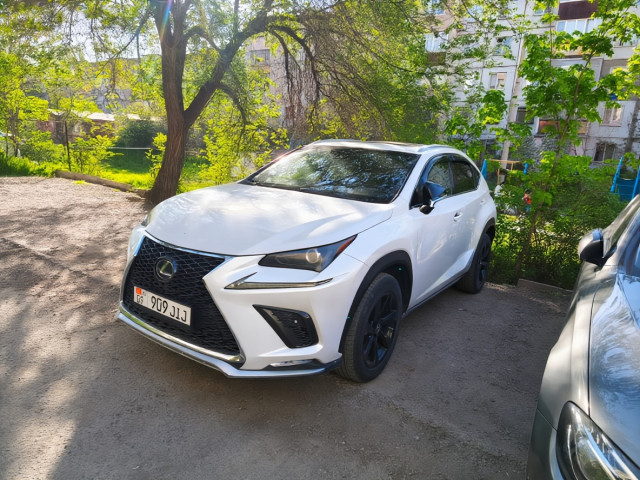 Lexus NX 2019