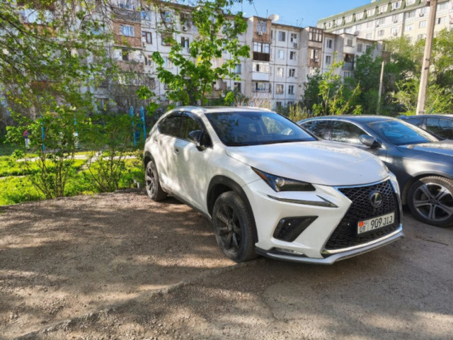 Lexus NX 2019