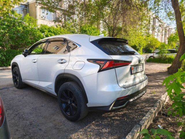 Lexus NX 2019