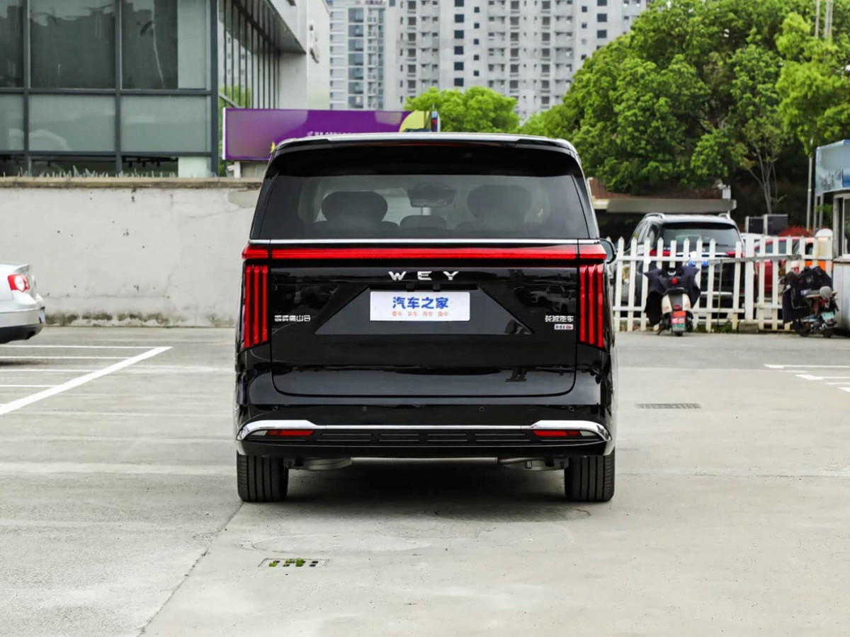 Wey Gaoshan (High Mountain) 2026