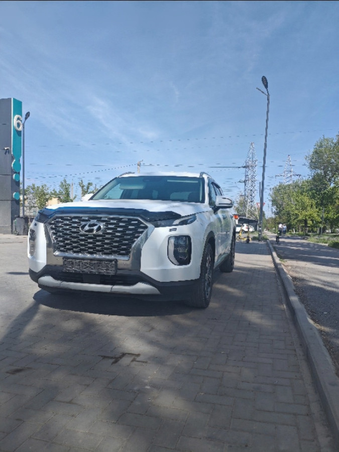 Hyundai Palisade 2019