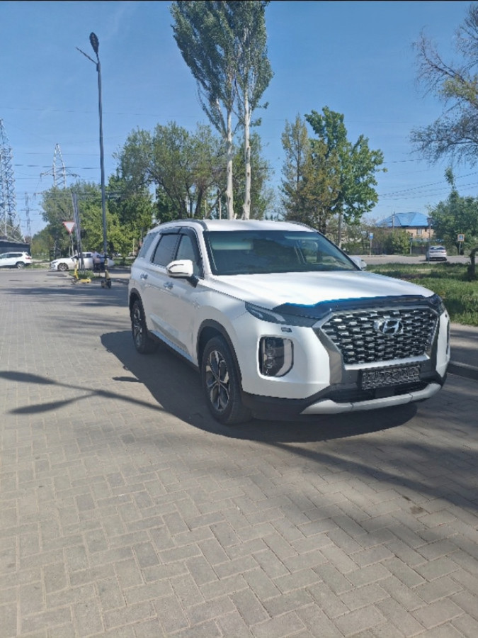 Hyundai Palisade 2019