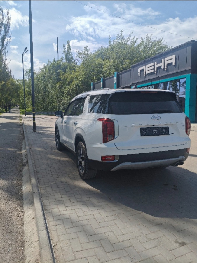 Hyundai Palisade 2019